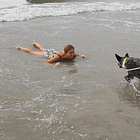 Does my dog want to please me? Yes and no