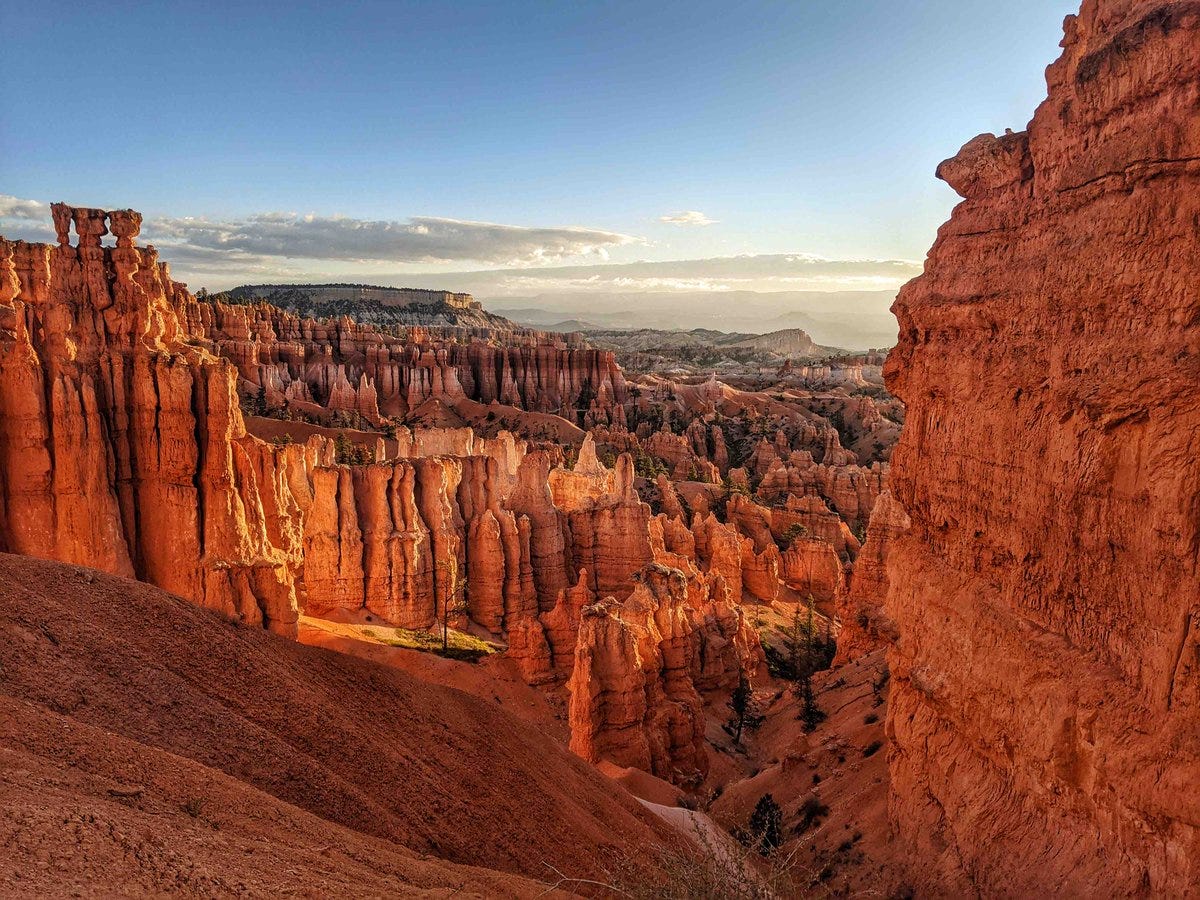 Clusters and lines of jagged orange rock formations cover a sloping hillside.