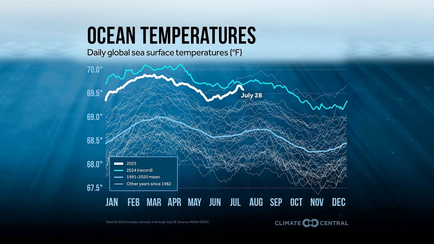 Rising ocean temperatures line graph, 1980s to 2005.