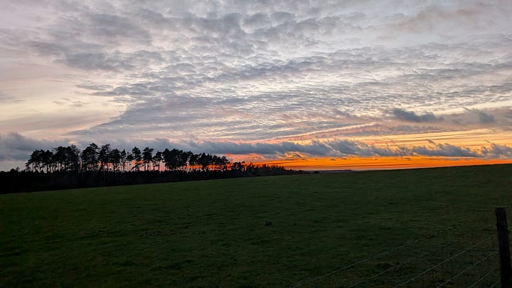 Enjoying some company on the few miles of the South Downs and Sunset around Cocking.