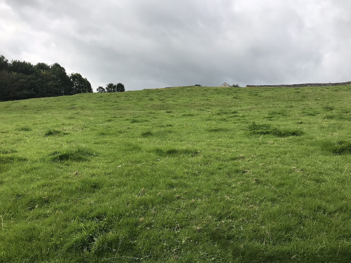 Image of the deserted village of Conksbury near Youlgreave in the Peak District. Image courtesy of Alexander Smith from Historic England. 