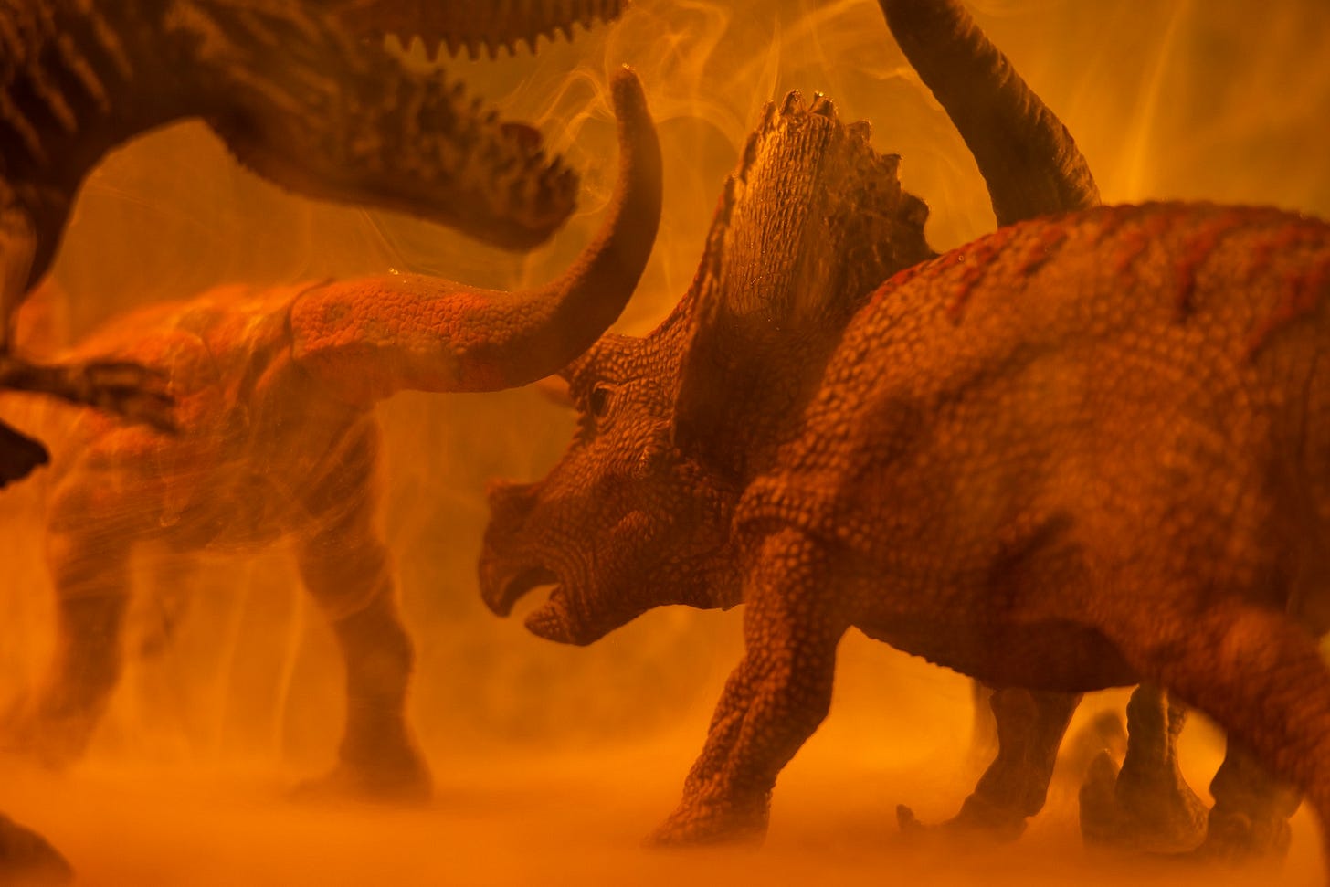 brown dinosaur on brown sand brown dinosaur on brown sand