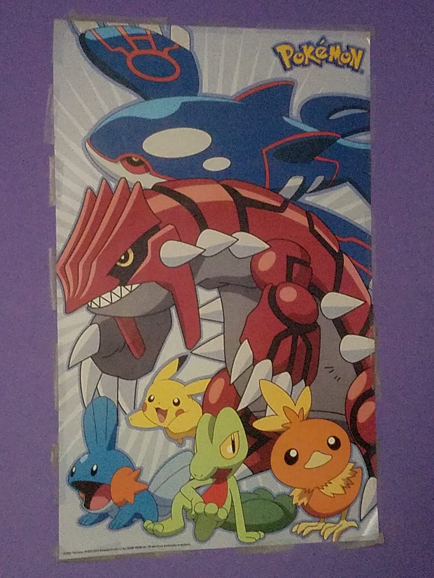 Sarah’s Pokémon poster featuring Kyogre, Groudon, Pikachu, and the Hoenn starter Pokémon, which she got from the Pokémon Center New York store