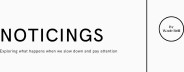 Noticings 