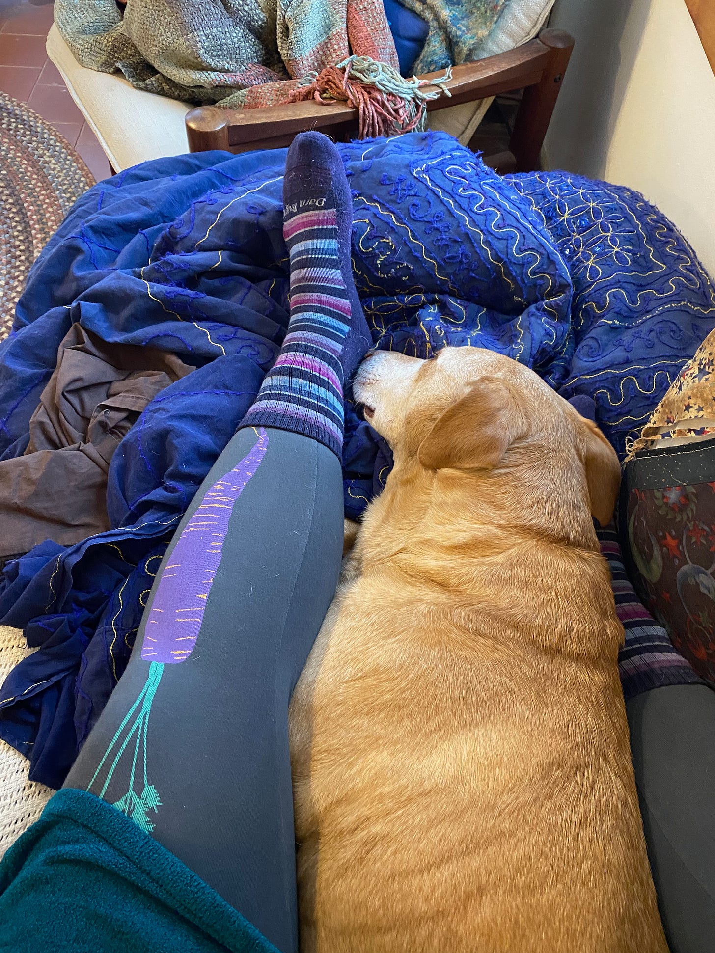Nessa lying next to my outstretched leg, her nose touching my foot. I’m wearing leggings with a big carrot on them.