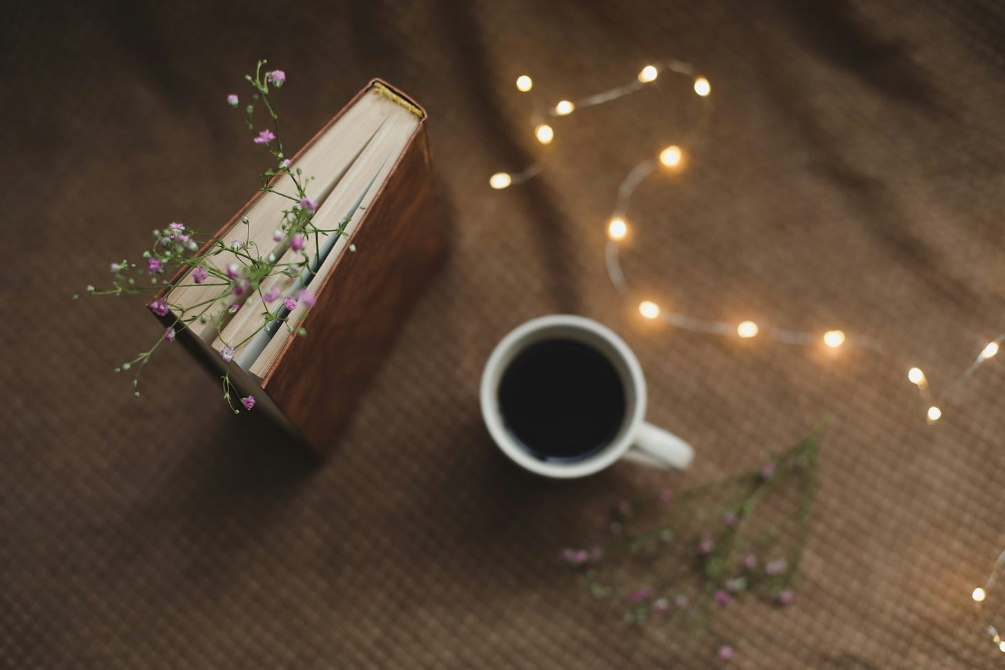 image of a book with tiny flower buds as a "bookmark" near white lights and a mug of steaming something