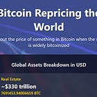 Bitcoin Repricing the World