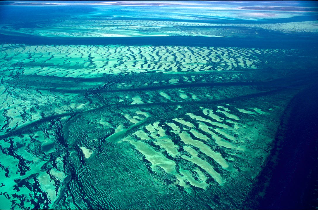 UNESCO Centre du patrimoine mondial - Document - Seagrass meadows in the Shark Bay, Western Australia marine World Heritage site (Australia) UNESCO Centre du patrimoine mondial - Document - Seagrass meadows in the Shark Bay, Western Australia marine World Heritage site (Australia)