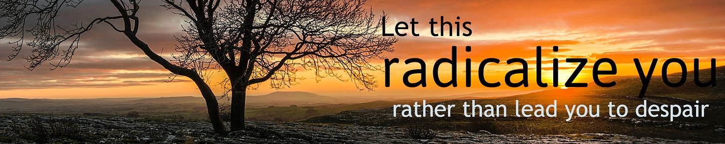 image of a tree, desolate ground beneath it. sunrise coming up on the right. Text says "let this radicalize you rather than lead you to despair"