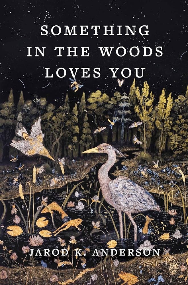 Something in the Woods Loves You: Anderson, Jarod K.: 9781643262291:  Amazon.com: Books