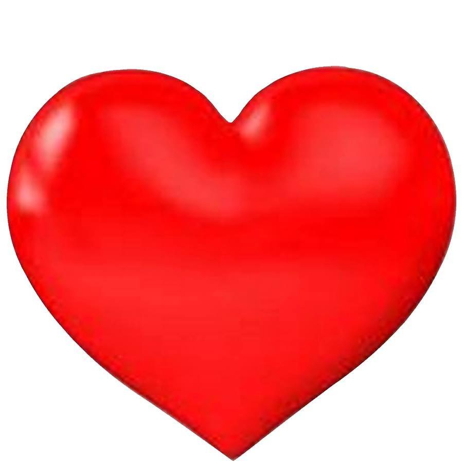 Love Bugs Newsletter