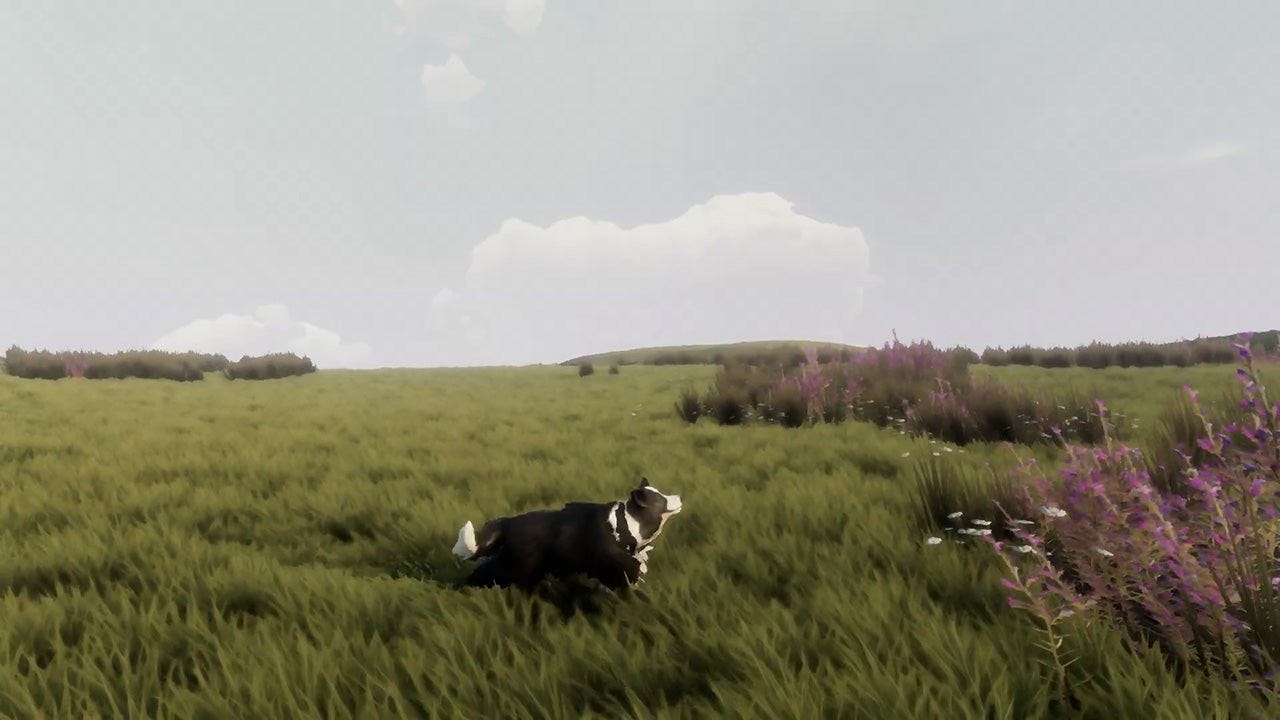 https://sm.ign.com/t/ign_ap/video/t/the-free-s/the-free-shepherd-official-announcement-trailer-the-game-awa_eg5z.1280.jpg https://sm.ign.com/t/ign_ap/video/t/the-free-s/the-free-shepherd-official-announcement-trailer-the-game-awa_eg5z.1280.jpg