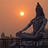 THE DHARMA BEAT