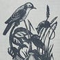 Marcos Rodrigues's avatar