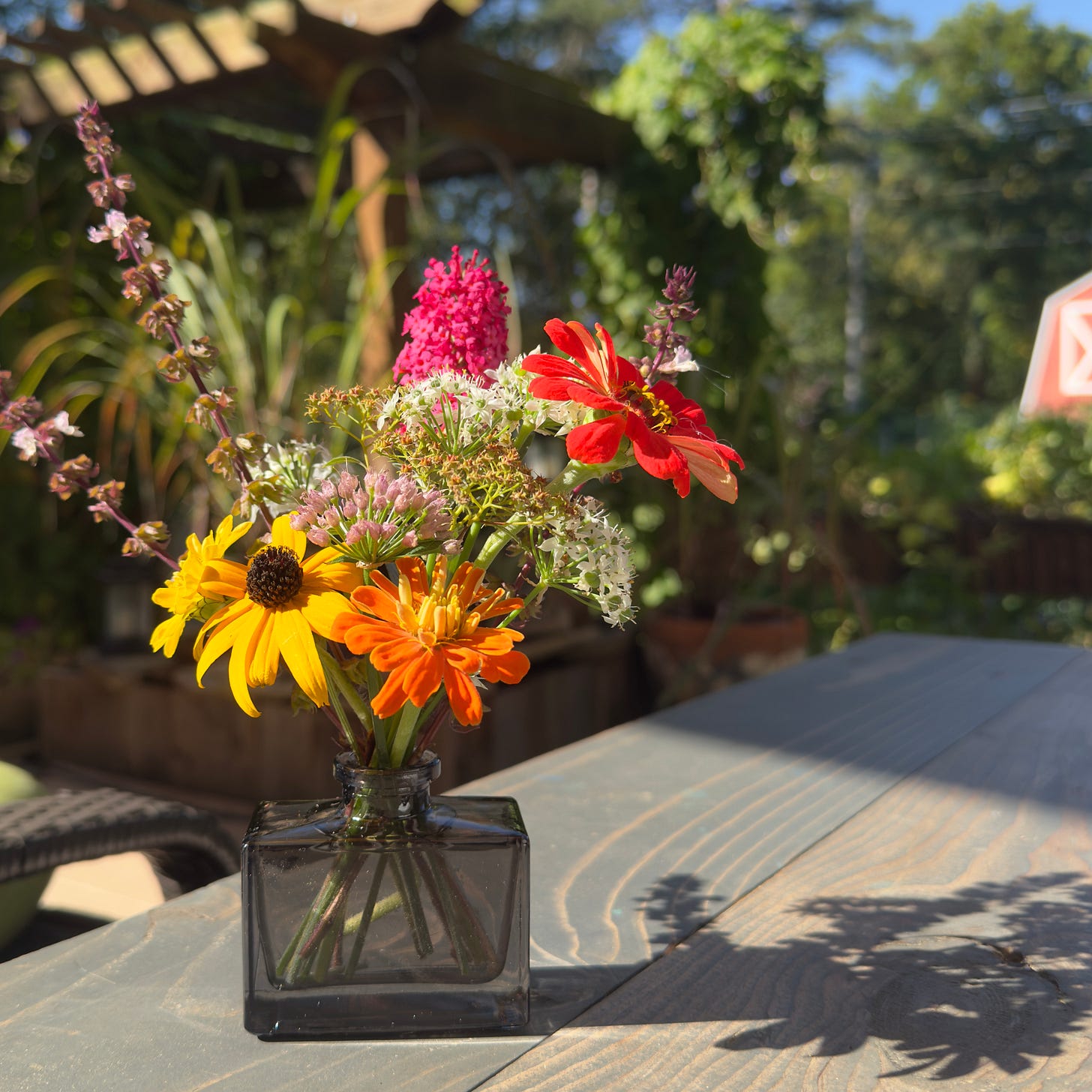 Plant Food for Thought - The Vegan Curious Substack
