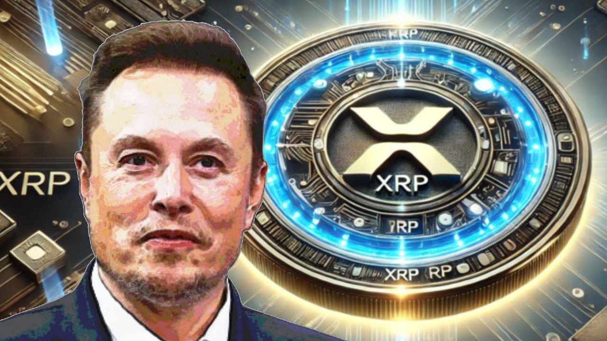 Does Elon Musk Own or Influence XRP? A Comprehensive Analysis