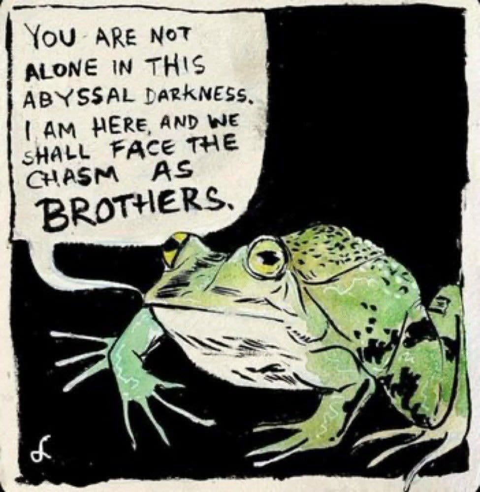 Illustration of a frog that is saying "You are not alone in this abyssal darkness. I am here, and we shall face the chasm as brothers." - Artist: Sarah Gordon | https://www.instagram.com/scarygorgon/
