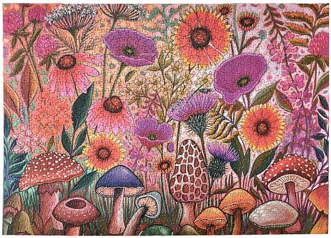 My Collection of Ceaco Puzzles