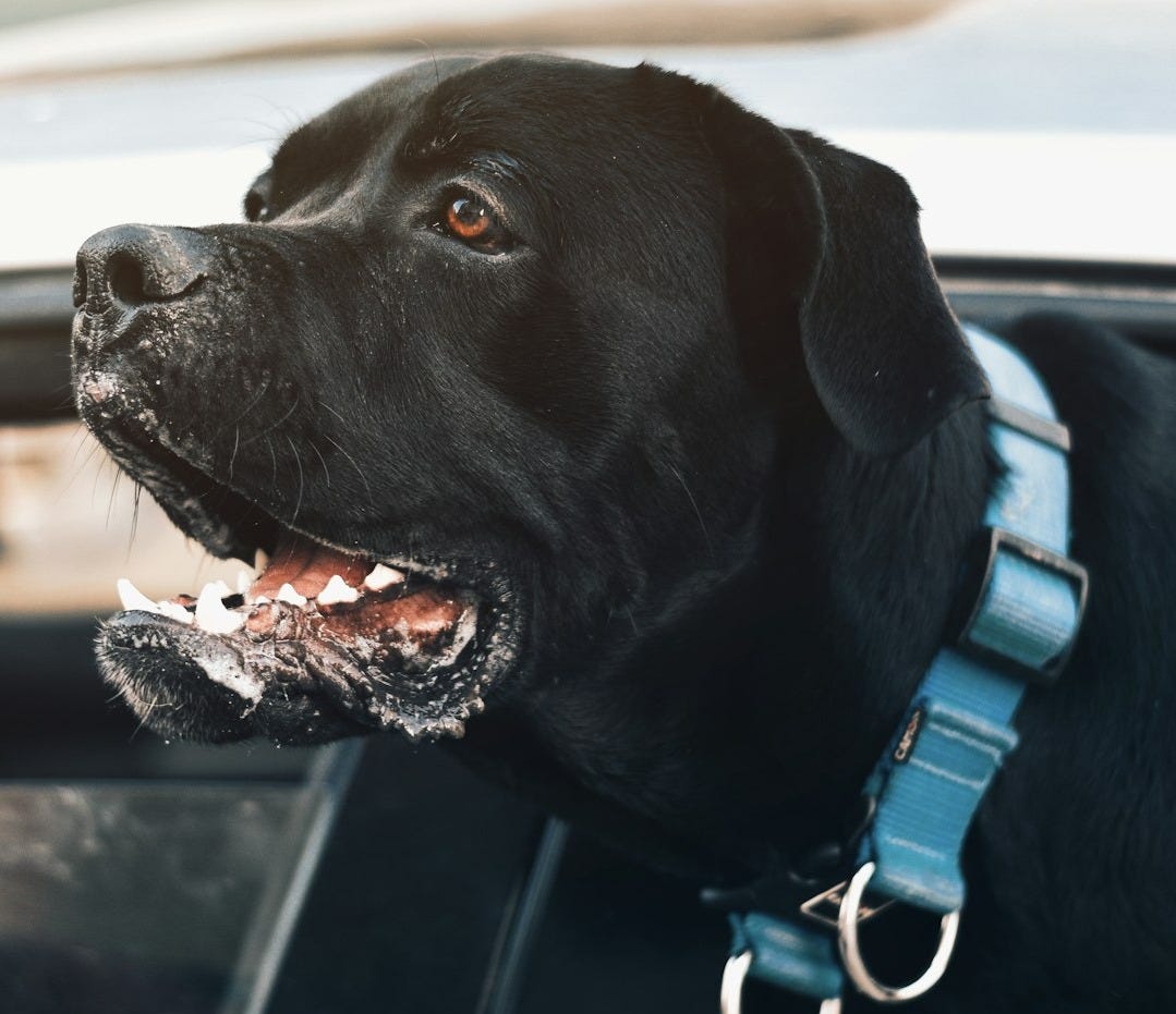 Are we there yet?