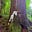 Avatar de Alexandra A.