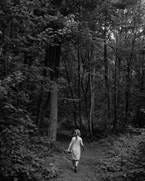 A little girl wandering in a dark forest. A little girl wandering in a dark forest.