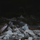 Sparen ja, aber nicht bei der Stadtzeitung?