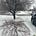 Suburban Diary