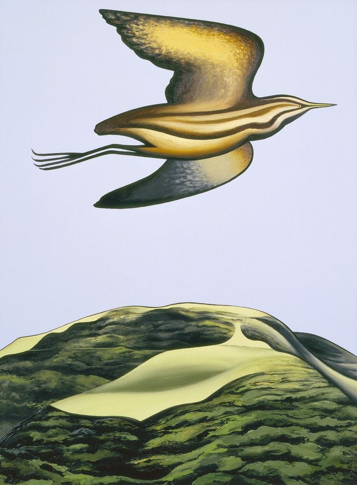 Binney, Don; Puketotara, twice shy, 1976, 1977-0024-1 Binney, Don; Puketotara, twice shy, 1976, 1977-0024-1