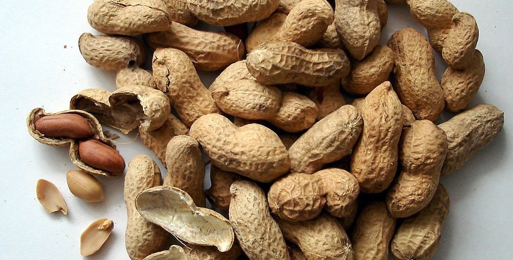 plant, fruit, food, produce, nut, snack, nuts, peanuts, cores, peanut, flowering plant, sunflower seed, grass family, land plant, nuts seeds