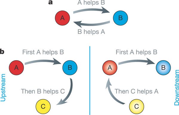 Direct and indirect reciprocity.a, Direct reciprocity means that A ...
