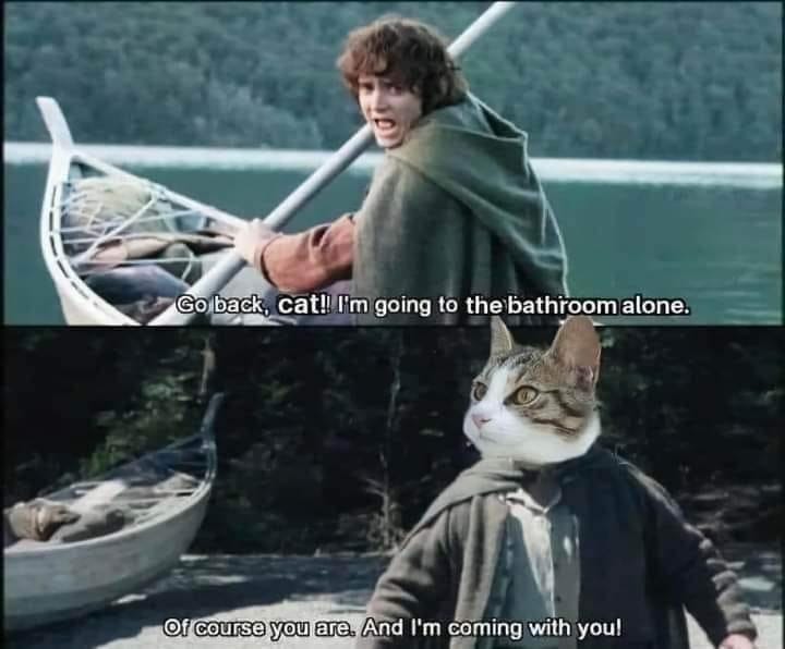 Leading into the sequel, The Two Showers : r/lotrmemes