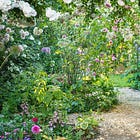  How to design your own cottage garden