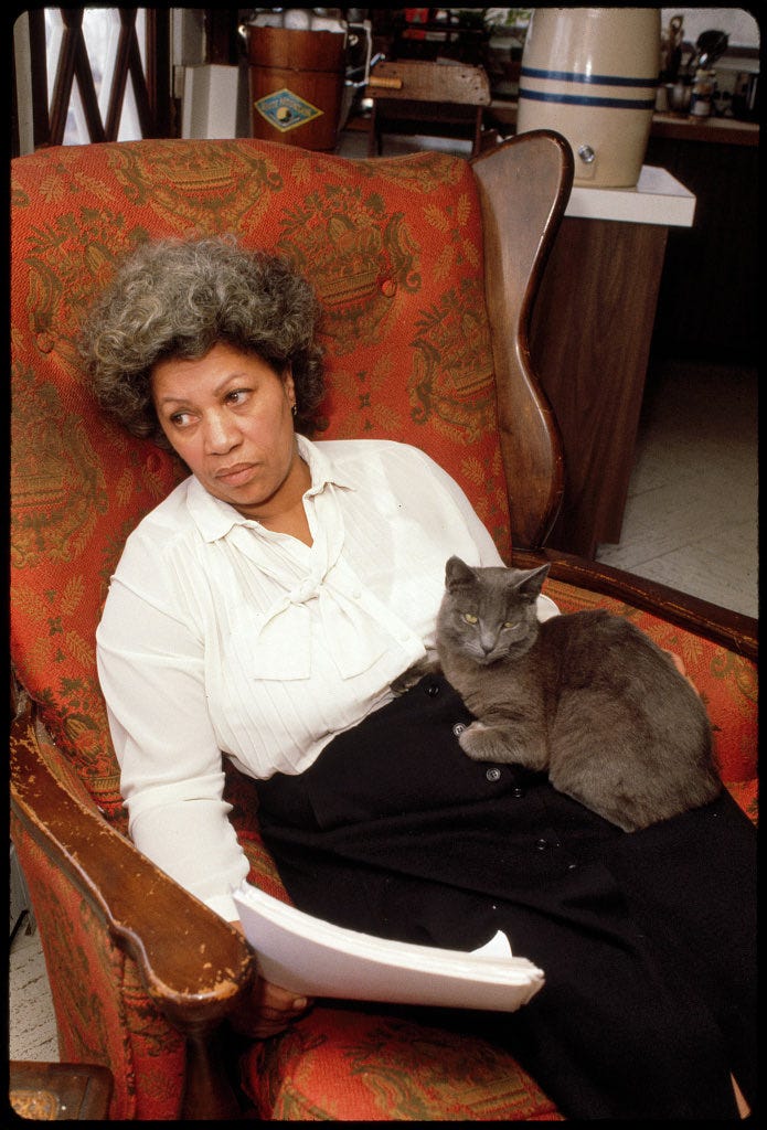 maya cade on Twitter: "toni morrison at her upstate new york home in 1980.  photo by bernard gotfryd. https://t.co/OozGALBDdb" / Twitter