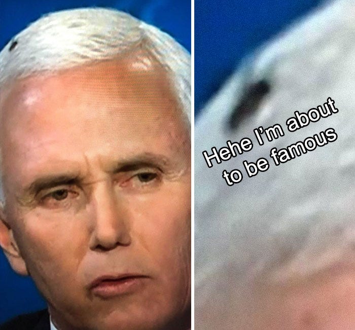 47 Memes That Wouldn't Exist If The Fly Didn't Land On Mike Pence's Head  Last Night | Bored Panda