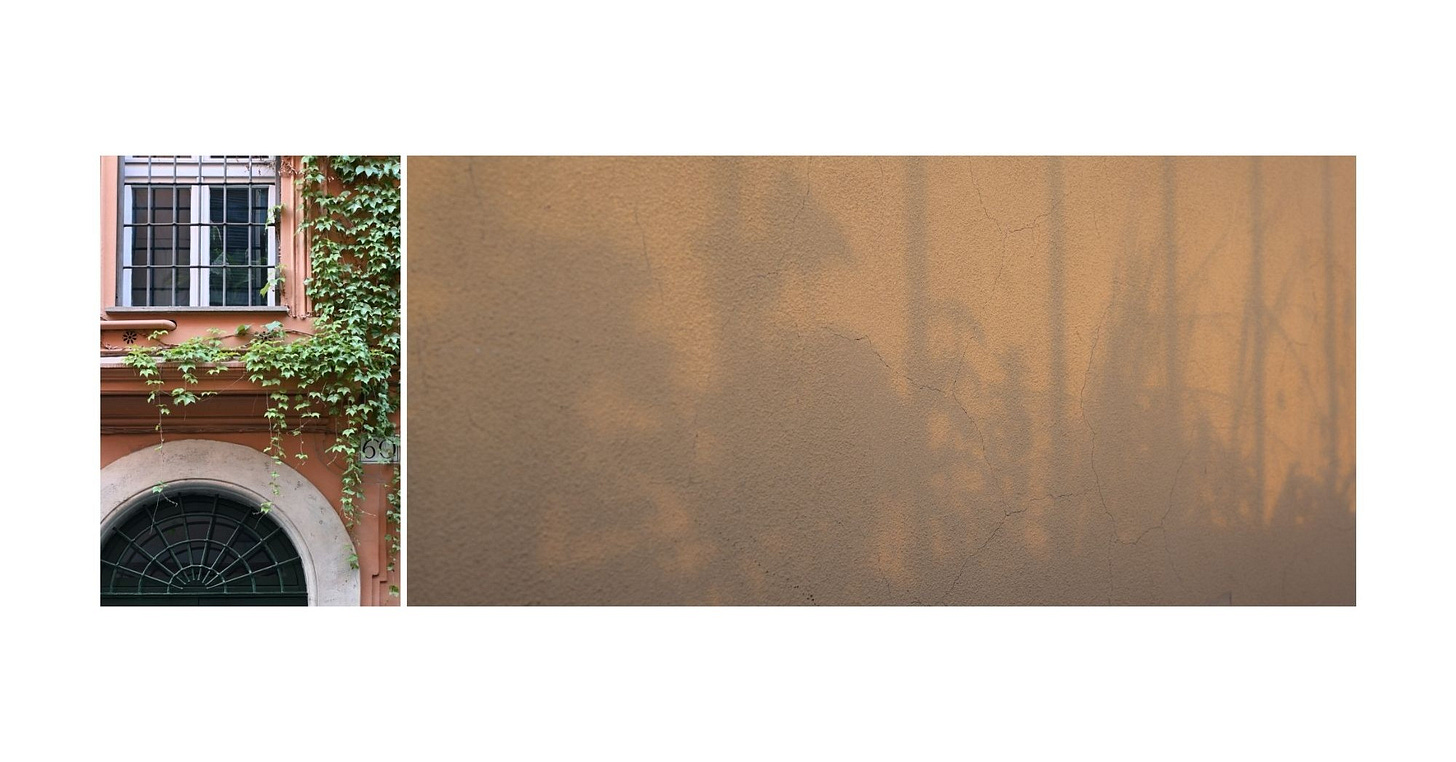 Two panel diptych of terracotta wall with vines covering it ; horizontal shadows stretch across an ocre facade. 