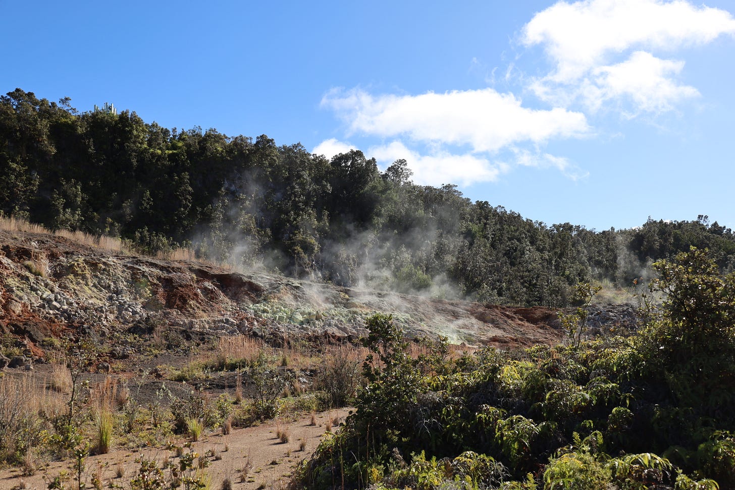 Steam rising from the sulfur banks at Kilauea