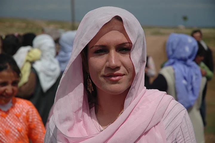 Here is a peek into the life of Kurds, a community that helped the United States fight the Islamic State.