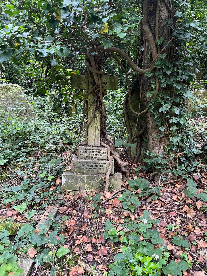 Gravestones upended by mass overgrowth