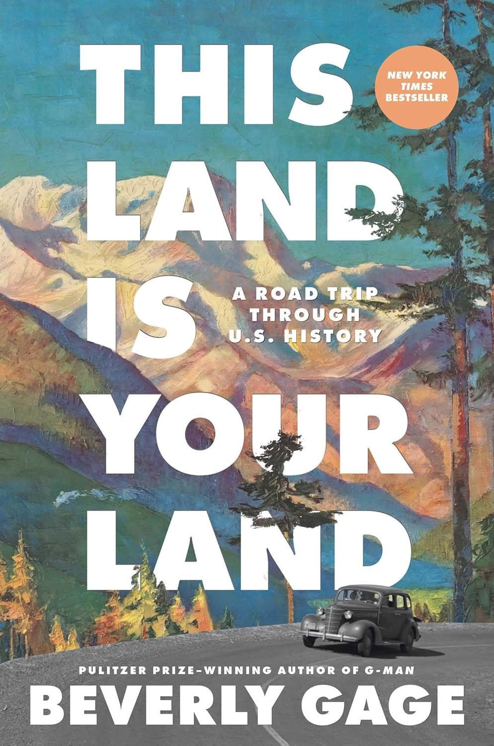 This Land Is Your Land by Beverly Gage