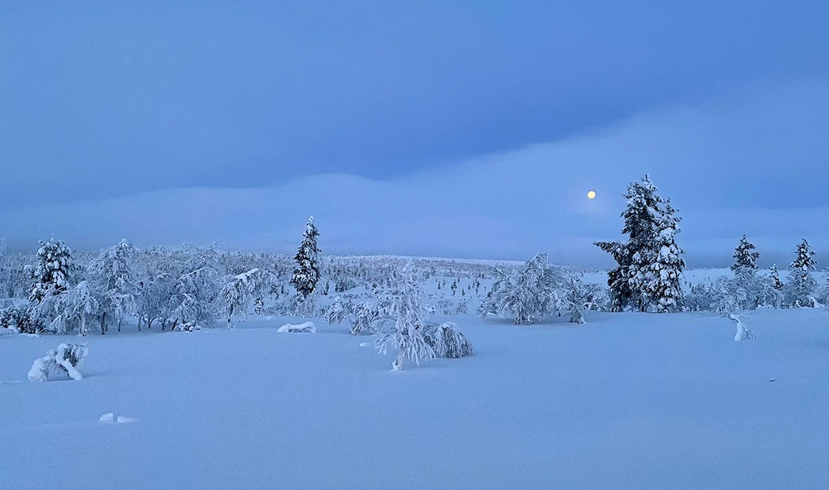 Photograph of a full moon over a wintry scene in Saariselkä, Finland, November 2023.