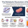 Fenbendazole & Cancer