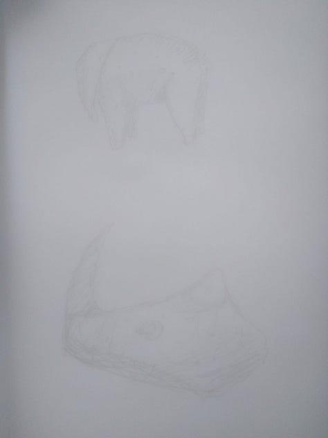 Pencil sketches of various figurines (Venus, animals), patterns, and animal teeth from Archeopark Pavlov