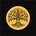 Old Growth Cooperative's avatar