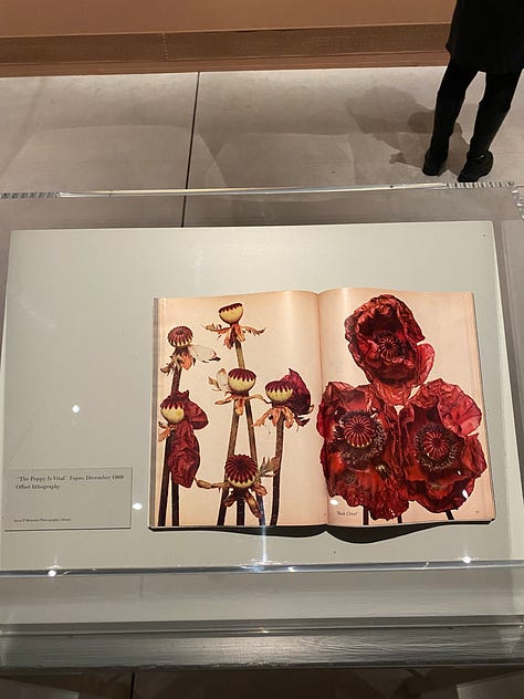 A magazine spread in an exhibition of flowers, flowers framed on the wall