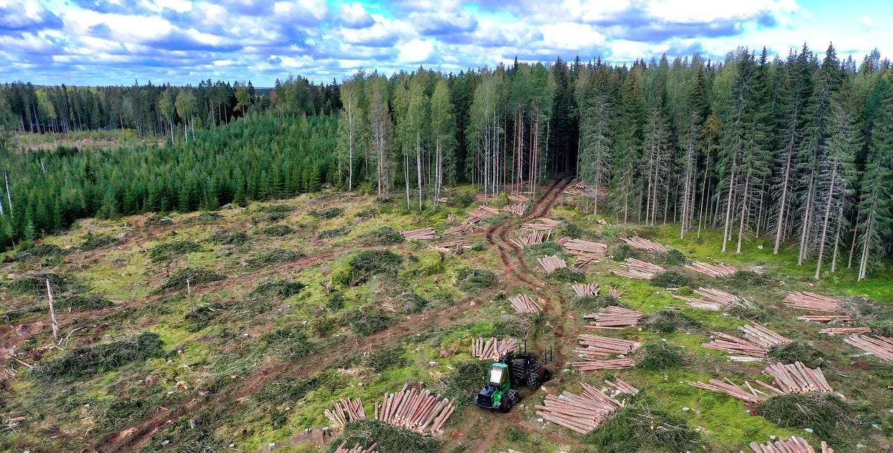 Nature and biodiversity loss: Five years to irreversible change