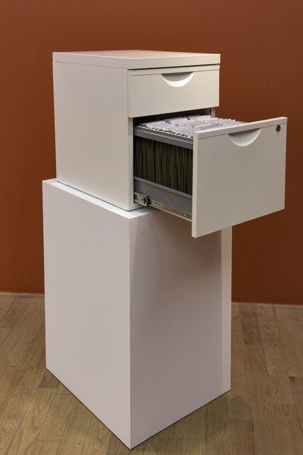MIMI ỌNỤỌHA | The Library of Missing Datasets (2016) | Available for Sale |  Artsy