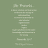 The Diligent Woman