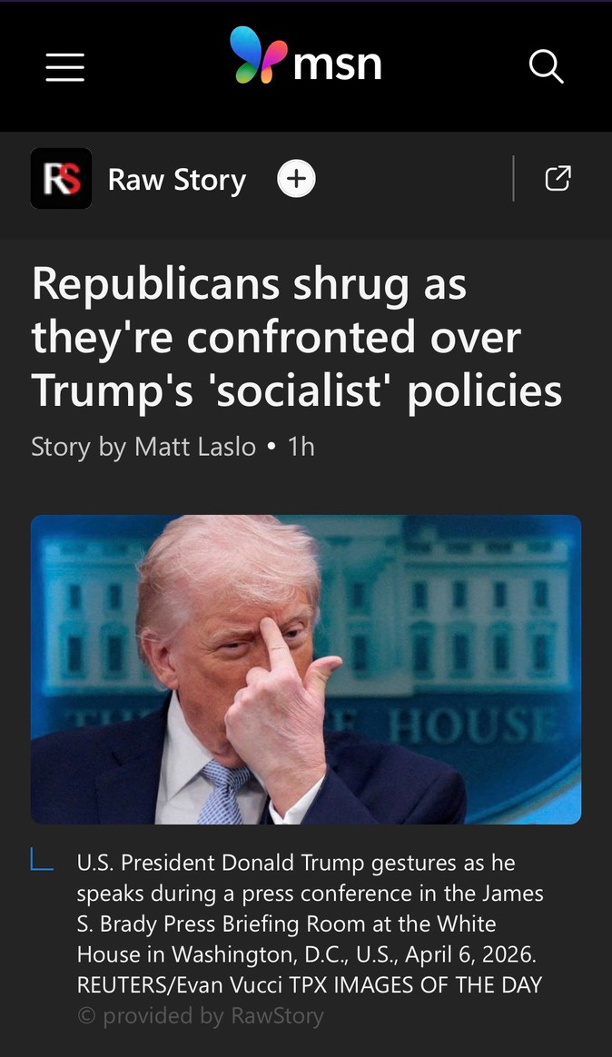 Screenshot of Ask a Pol founder Matt Laslo's feature for Raw Story on Trump socialism. Used with permission 