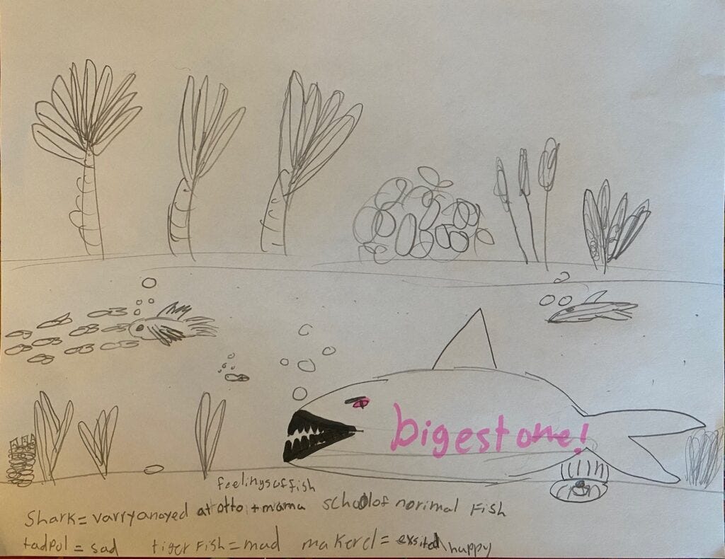 Etta's drawing of her emotions as fish in a pond