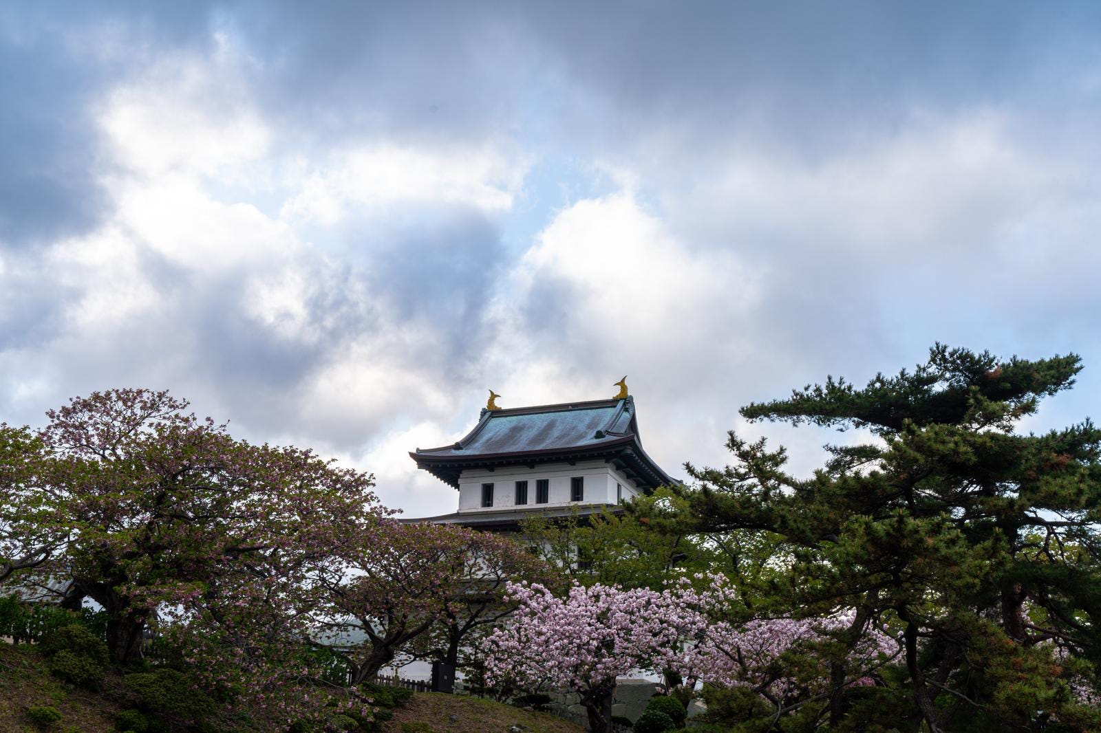 Yuki Homes' Guide: Is Now the Best Time to Buy in Japan?